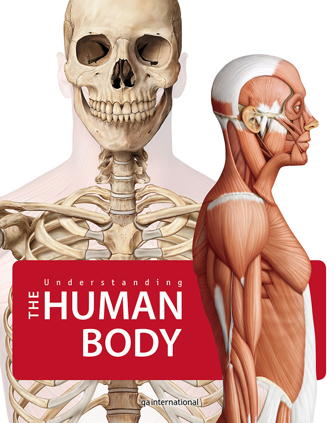 Health encyclopedias - Understanding the Human Body
