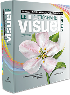Visual Dictionaries - complete