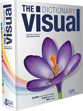 Visual Dictionaries - complete