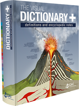 Visual Dictionaries - complete