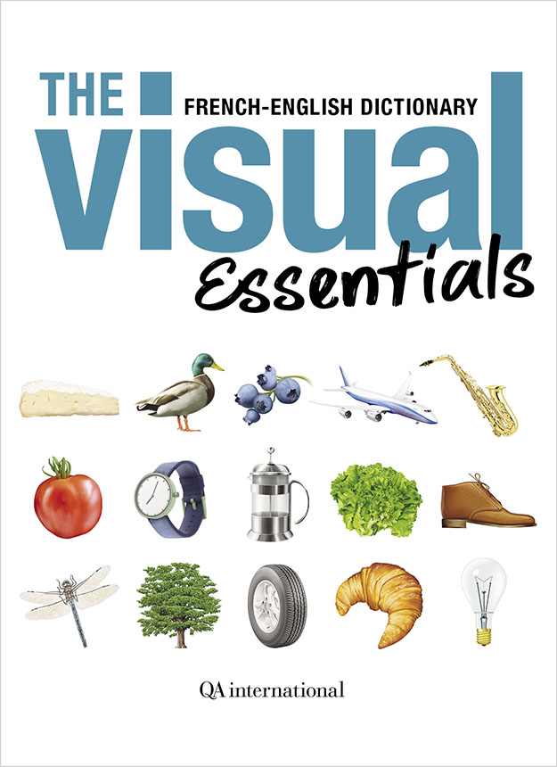 Visual Dictionaries - essentials